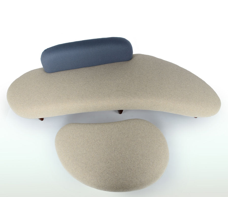 Noguchi Freeform Style Sofa & Ottoman